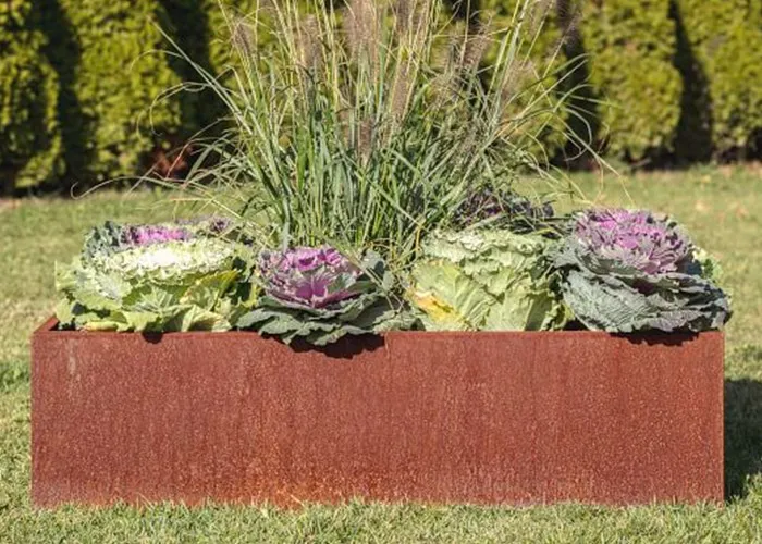 Corten rectangle planter Corten rectangle planter